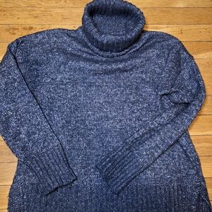 Banana Republic Navy Turtleneck Sweater